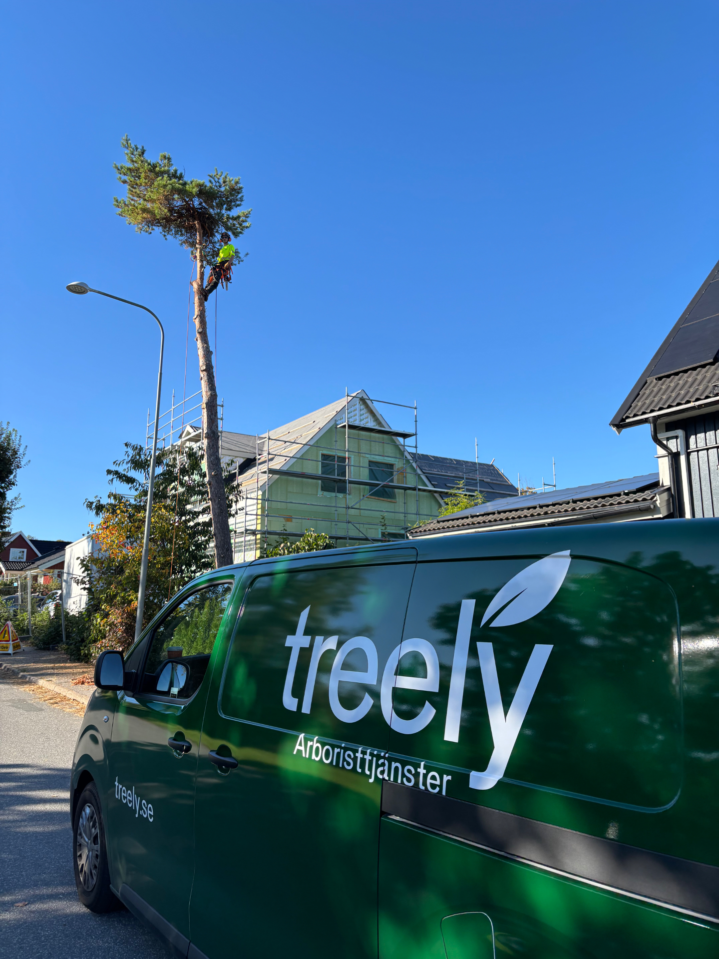 Treelys arbetsbil