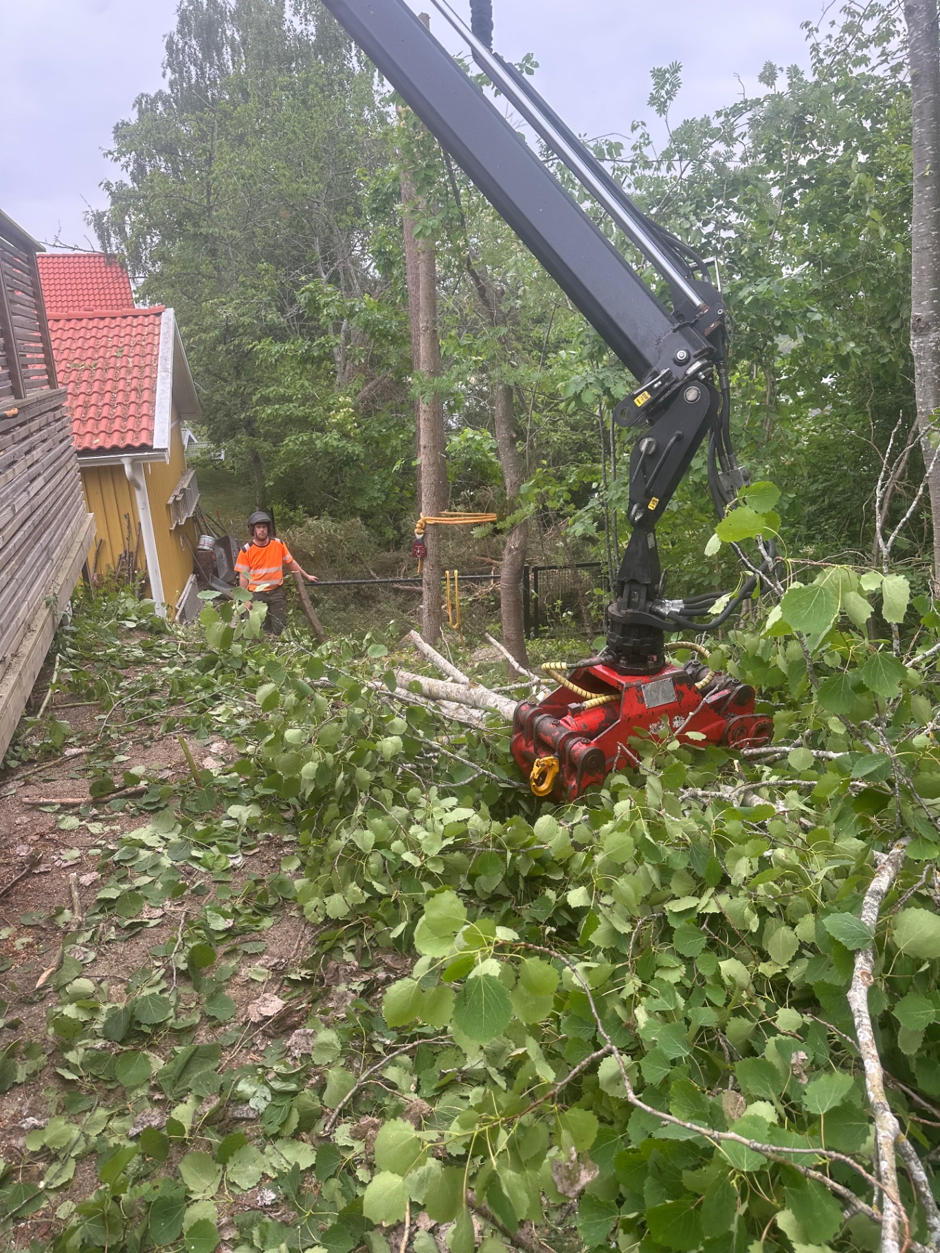Trädfällning med kranbil på villatomt